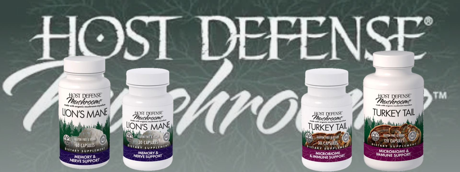 Shop Host Defense At Sandra's For Lion's Mane Mushrooms & Turkey Tail Mushrooms To Benefit Your Memory, Immune System & Nerves